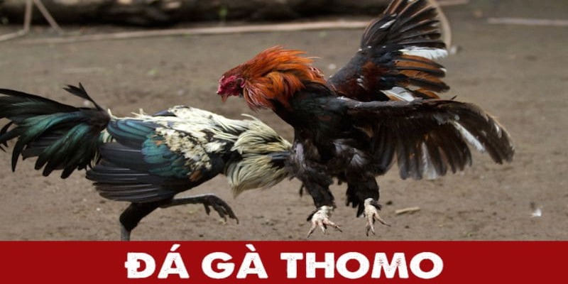 Kinh nghiệm chơi trăm trận trăm thắng